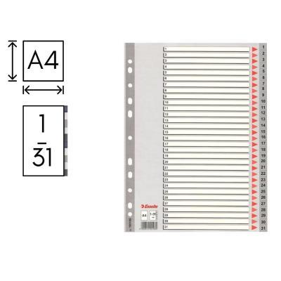 INDICE ESSELTE P.P. Fº 1-31 (49208)