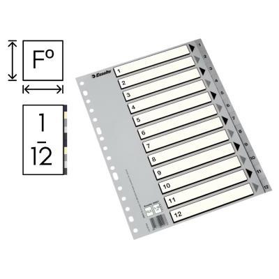 INDICE ESSELTE P.P. Fº 1-12 (49207)