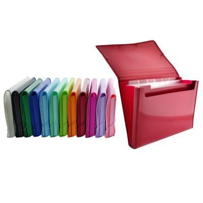 CLASIFICADOR COLORLINE 12 DIVISIONES PLUS CON BOLSILLO PARA CUADERNO COL. SURT. (41311)