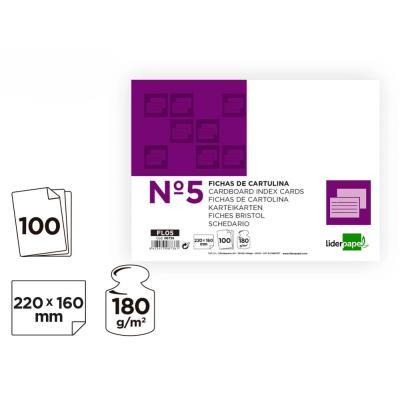 FICHA LISA Nº5 220X160MM LIDERPAPEL (08736)