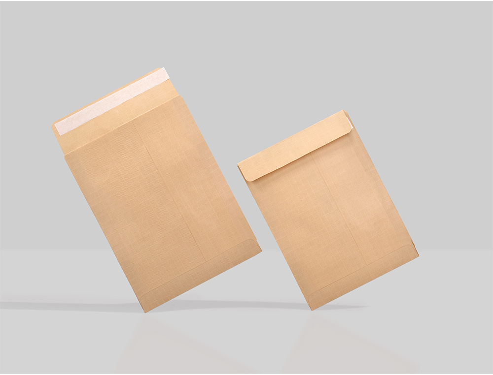 SOBRE LIDERPAPEL BOLSA N.1 KRAFT SALARIOS 100X145 MM TIRA SILICONA CAJA DE 1000 UNIDADES
