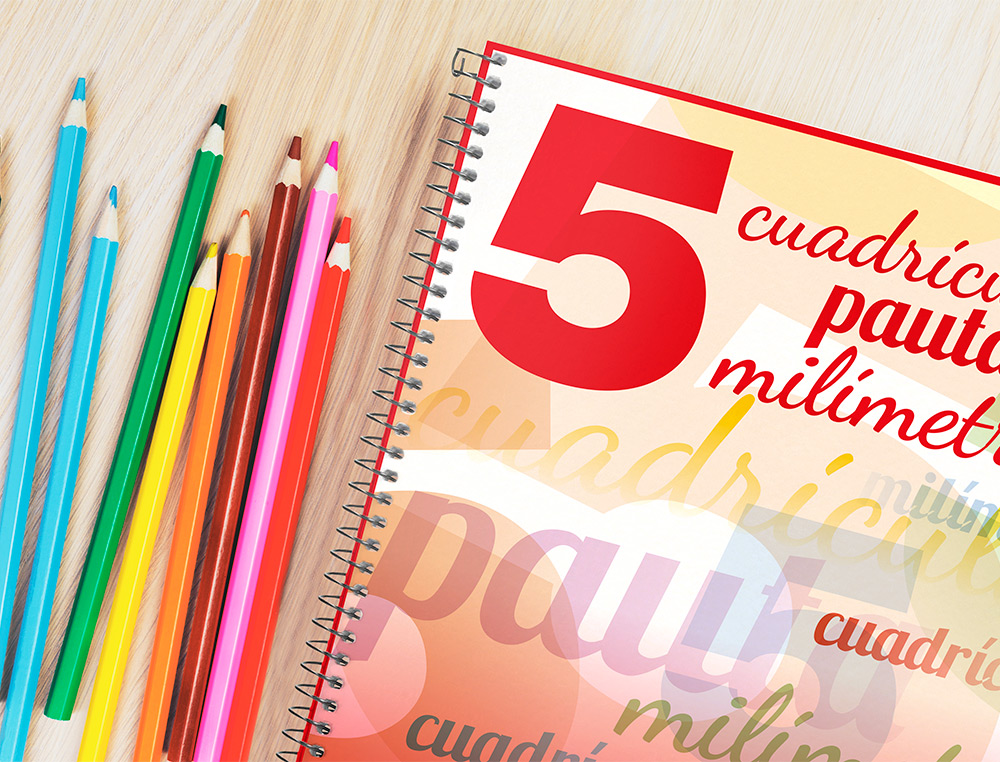 CUADERNO ESPIRAL LIDERPAPEL FOLIO PAUTAGUIA TAPA BLANDA 80H 75GR CUADRO PAUTADO 5MM CON MARGEN COLORES SURTIDOS