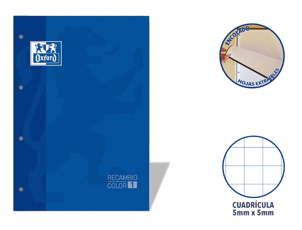 RECAMBIO OXFORD EUROPEANBOOK ENCOLADO A4 80 H. 90 GRS. CDLA. 5 CON RECUADRO AZUL