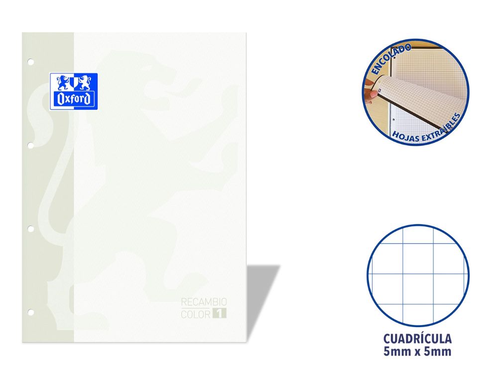 RECAMBIO OXFORD EUROPEANBOOK ENCOLADO A4 80 H. 90 GRS. CDLA. 5 CON RECUADRO BLANCO