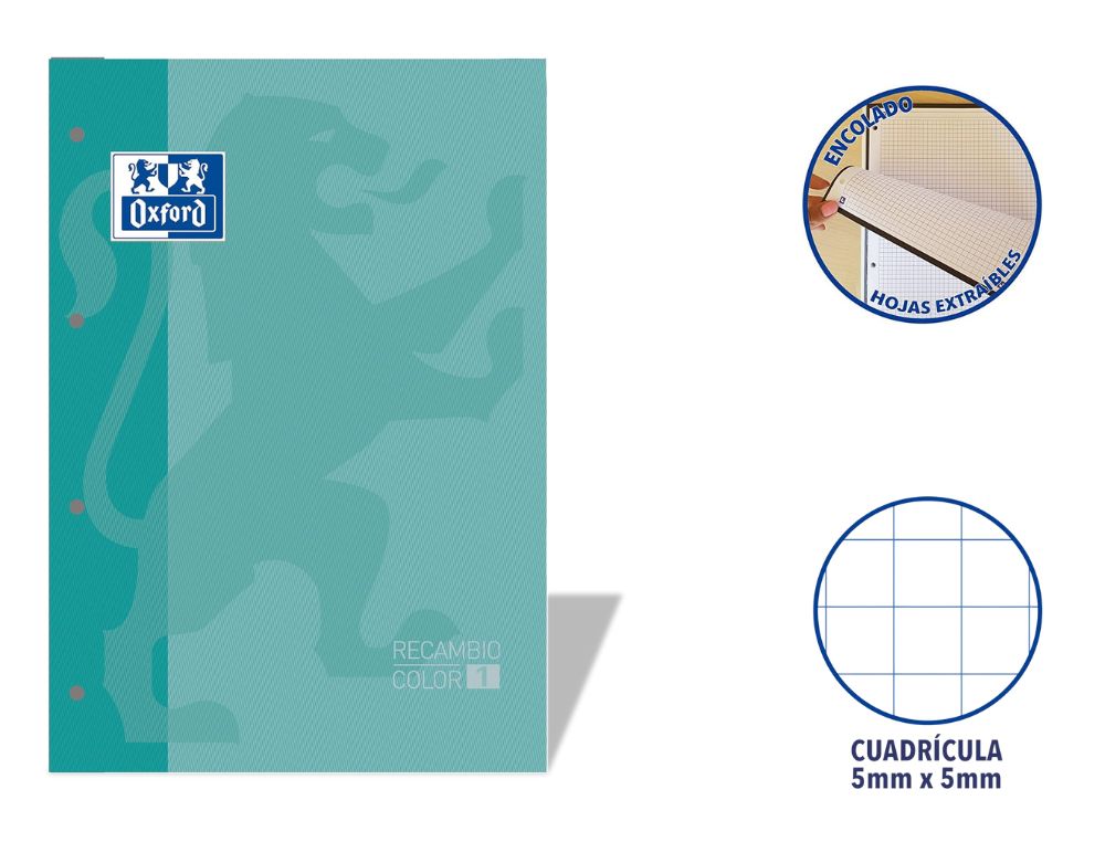 RECAMBIO OXFORD EUROPEANBOOK ENCOLADO A4 80 H. 90 GRS. CDLA. 5 CON RECUADRO ICE MINT