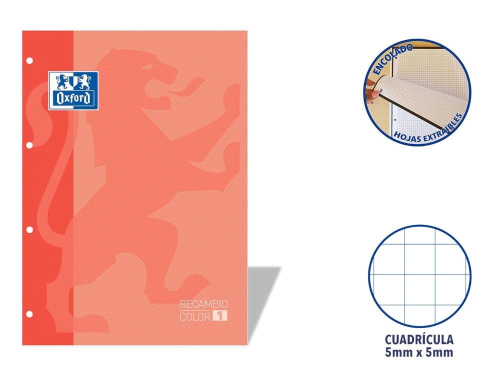 RECAMBIO OXFORD EUROPEANBOOK ENCOLADO A4 80 H. 90 GRS. CDLA. 5 CON RECUADRO MELOCOTN