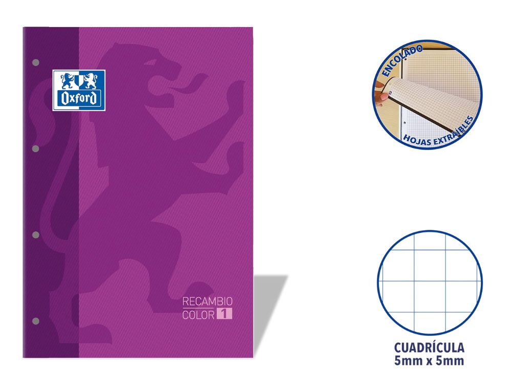 RECAMBIO OXFORD EUROPEANBOOK ENCOLADO A4 80 H. 90 GRS. CDLA. 5 CON RECUADRO MORADO