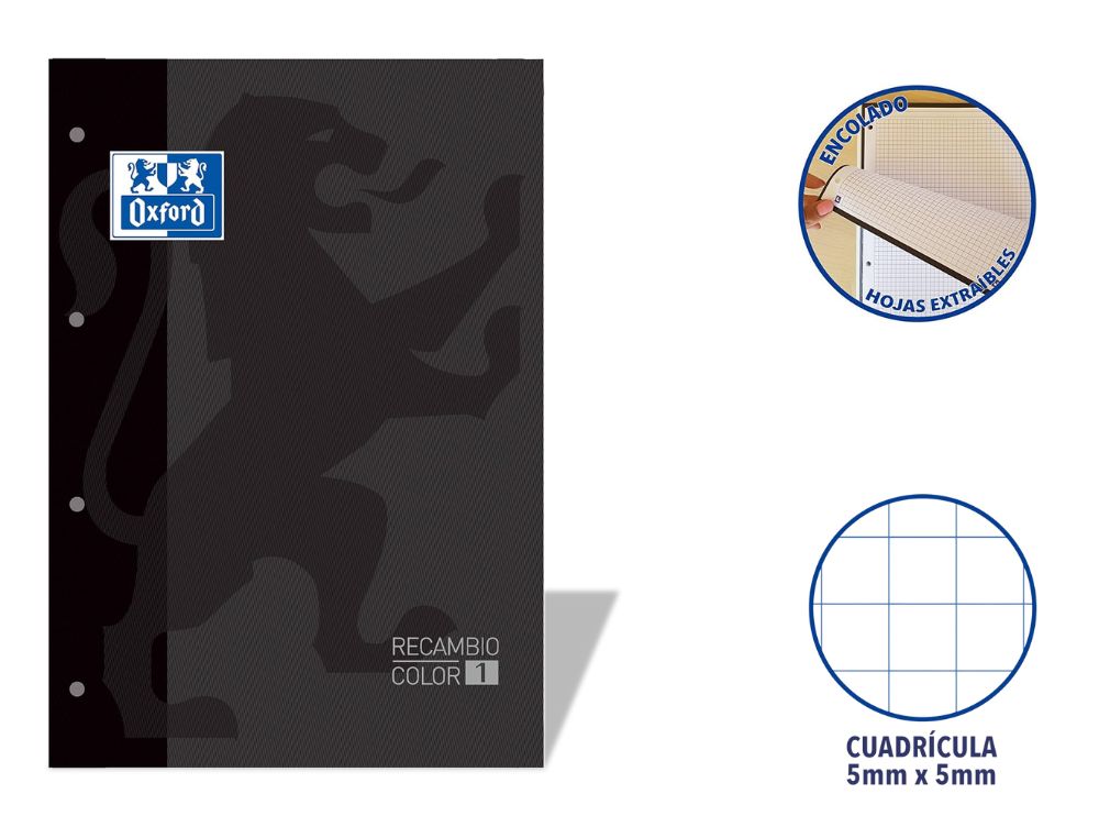 RECAMBIO OXFORD EUROPEANBOOK ENCOLADO A4 80 H. 90 GRS. CDLA. 5 CON RECUADRO NEGRO