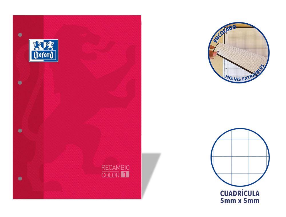 RECAMBIO OXFORD EUROPEANBOOK ENCOLADO A4 80 H. 90 GRS. CDLA. 5 CON RECUADRO ROJO