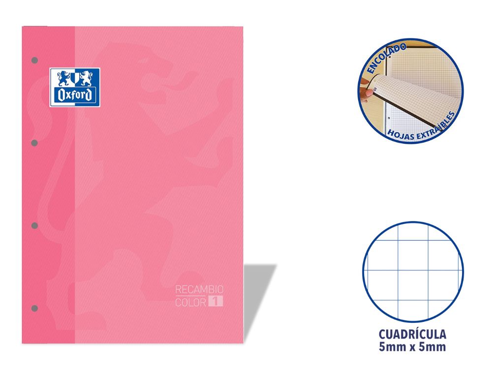 RECAMBIO OXFORD EUROPEANBOOK ENCOLADO A4 80 H. 90 GRS. CDLA. 5 CON RECUADRO ROSA