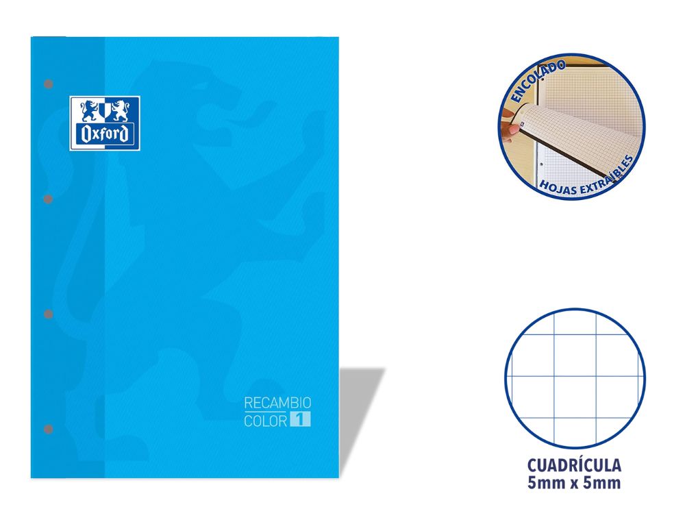 RECAMBIO OXFORD EUROPEANBOOK ENCOLADO A4 80 H. 90 GRS. CDLA. 5 CON RECUADRO TURQUESA