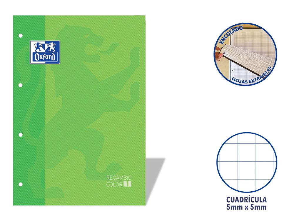 RECAMBIO OXFORD EUROPEANBOOK ENCOLADO A4 80 H. 90 GRS. CDLA. 5 CON RECUADRO VERDE MANZANA